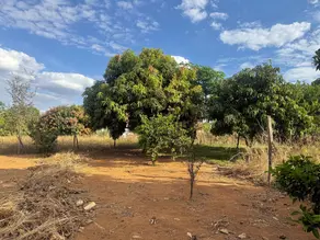 Chácara central, Bonfinópolis - GO — foto 1
