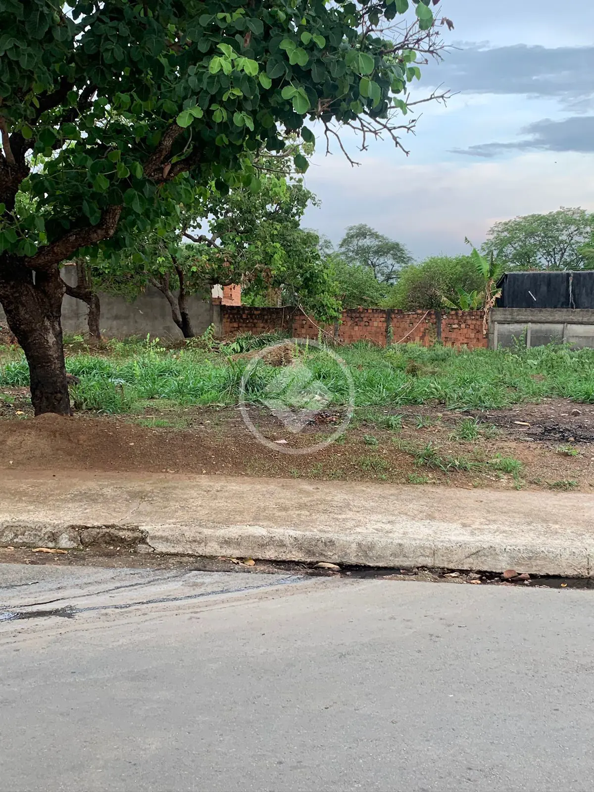 Terreno Jardim Veneza, Aparecida de Goiânia - GO — foto 1