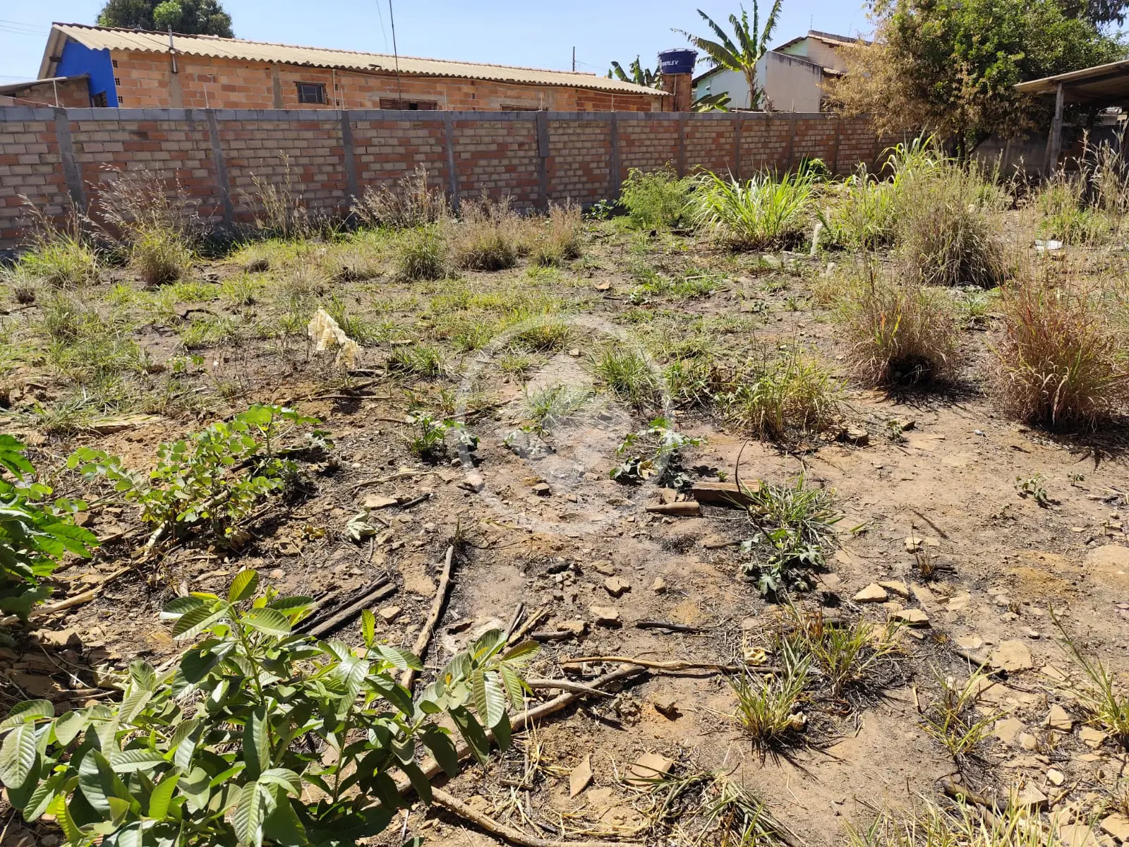 Terreno Jardim Dom Bosco 2ª Etapa, Aparecida de Goiânia - GO — foto 1