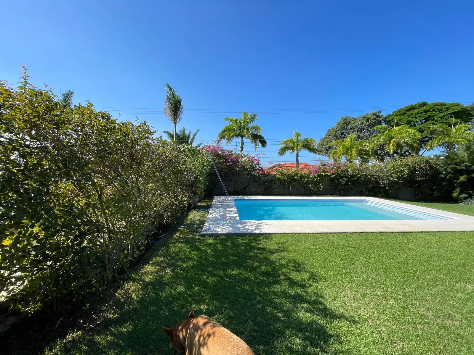 Imagem 6 - Casa em São Judas Tadeu, Guarapari - ES