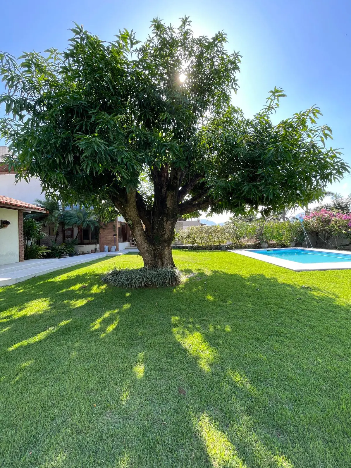 Imagem 4 - Casa em São Judas Tadeu, Guarapari - ES