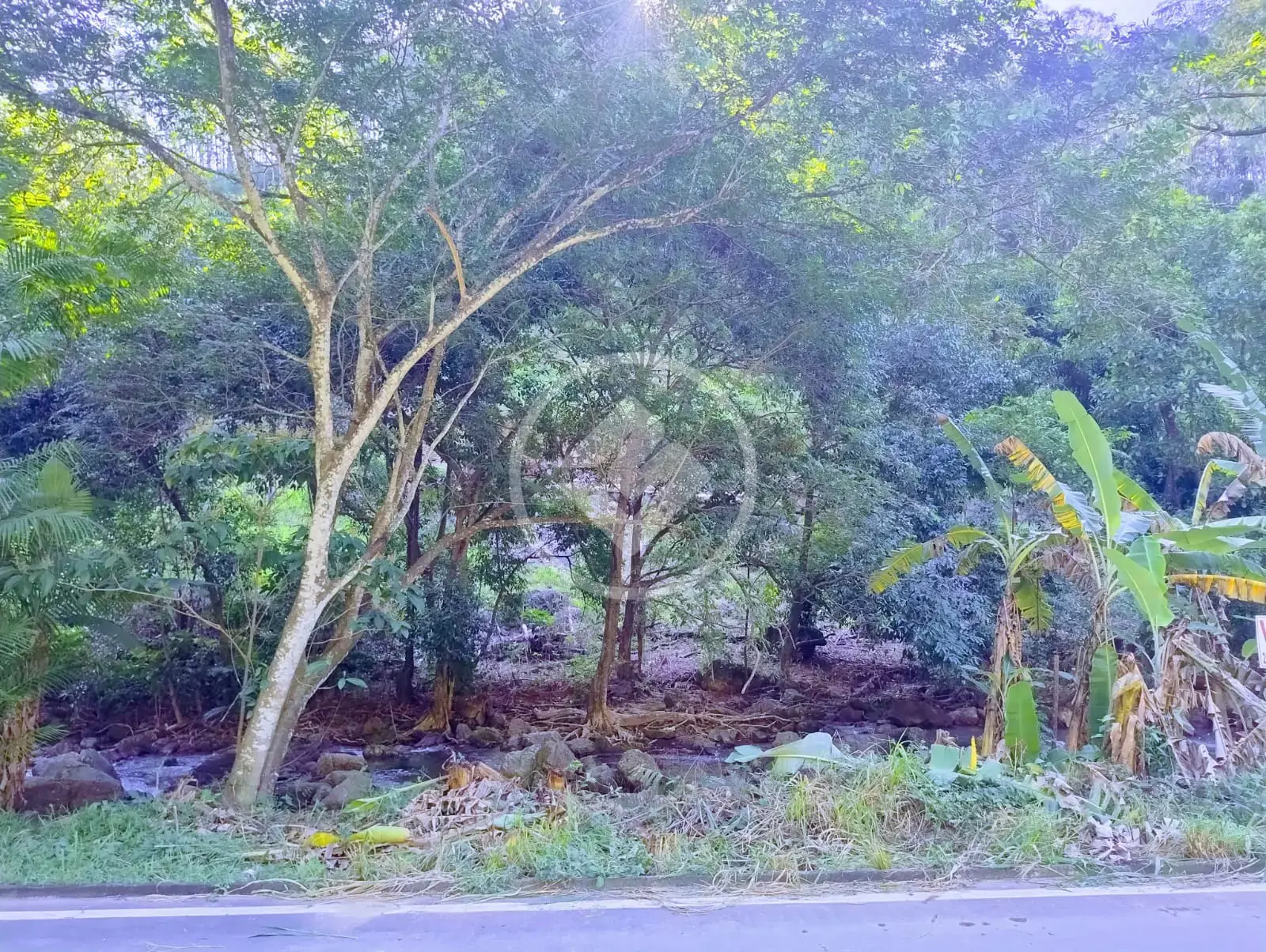 Imagem 1 - Sítio em Comunidade Urbana de Jaboti, Guarapari - ES