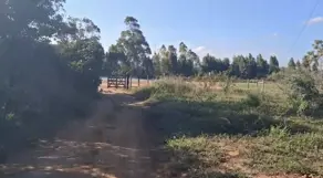 Fazenda Centro, Pedra Azul - MG — foto 1