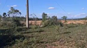 Imagem 3 - Fazenda em Centro, Pedra Azul - MG
