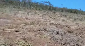 Imagem 6 - Fazenda em Centro, Pedra Azul - MG