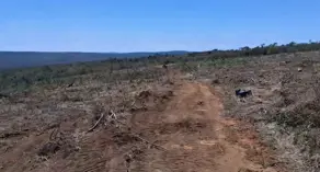 Imagem 4 - Fazenda em Centro, Pedra Azul - MG