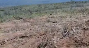 Imagem 5 - Fazenda em Centro, Pedra Azul - MG