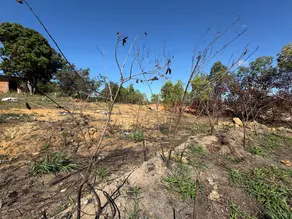 Imagem 2 - Terreno Comercial em Setiba, Guarapari - ES
