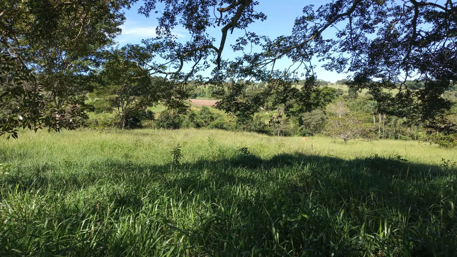 Imagem 5 - Fazenda em Zona Rural, Hidrolândia - GO