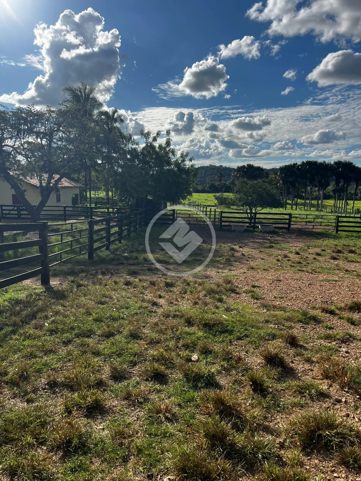 Fazenda Zona Rural, Mairipotaba - GO — foto 2