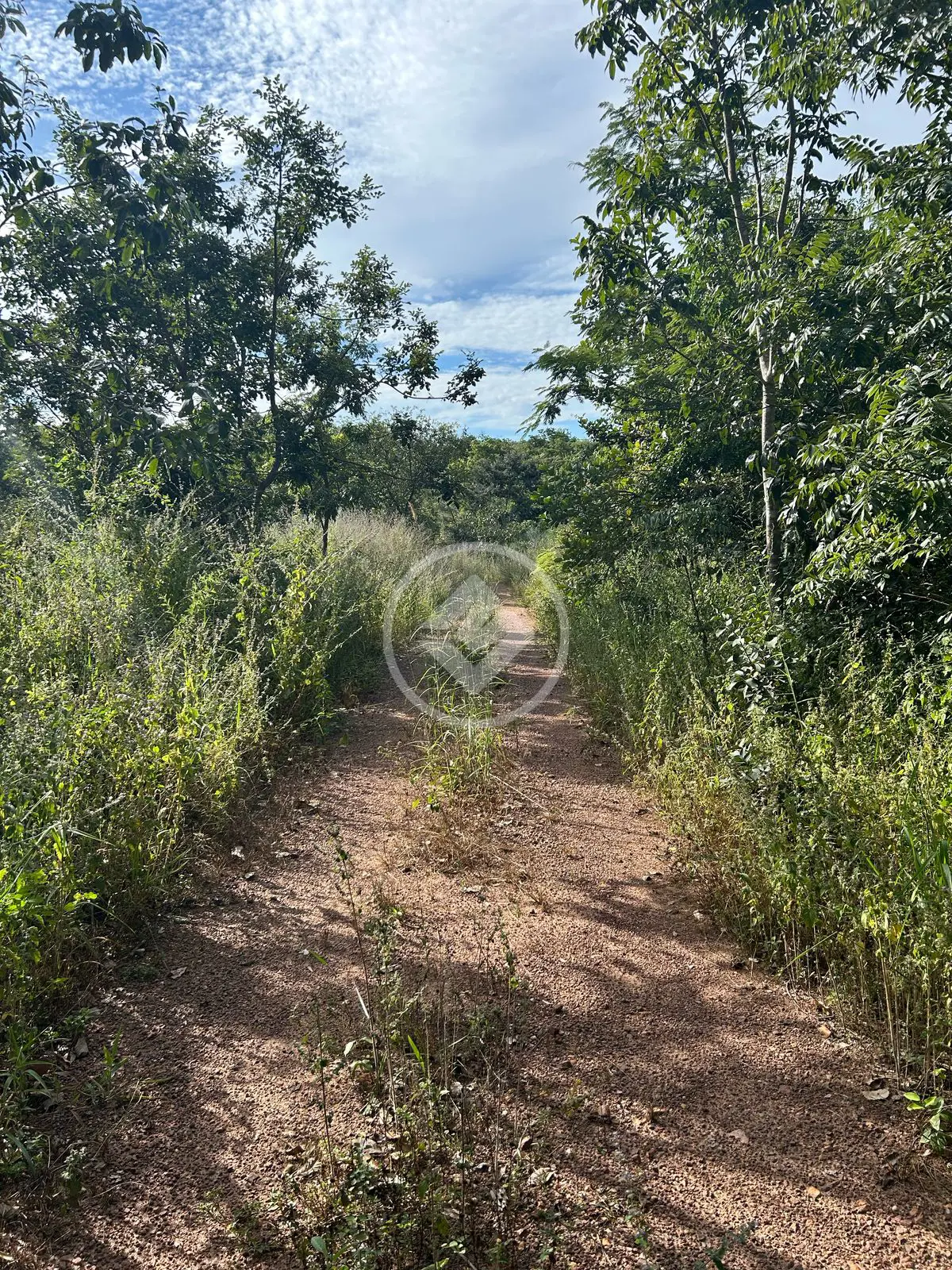 Imagem 4 - Chácara em Zona Rural Hidrolandia, Hidrolândia - GO