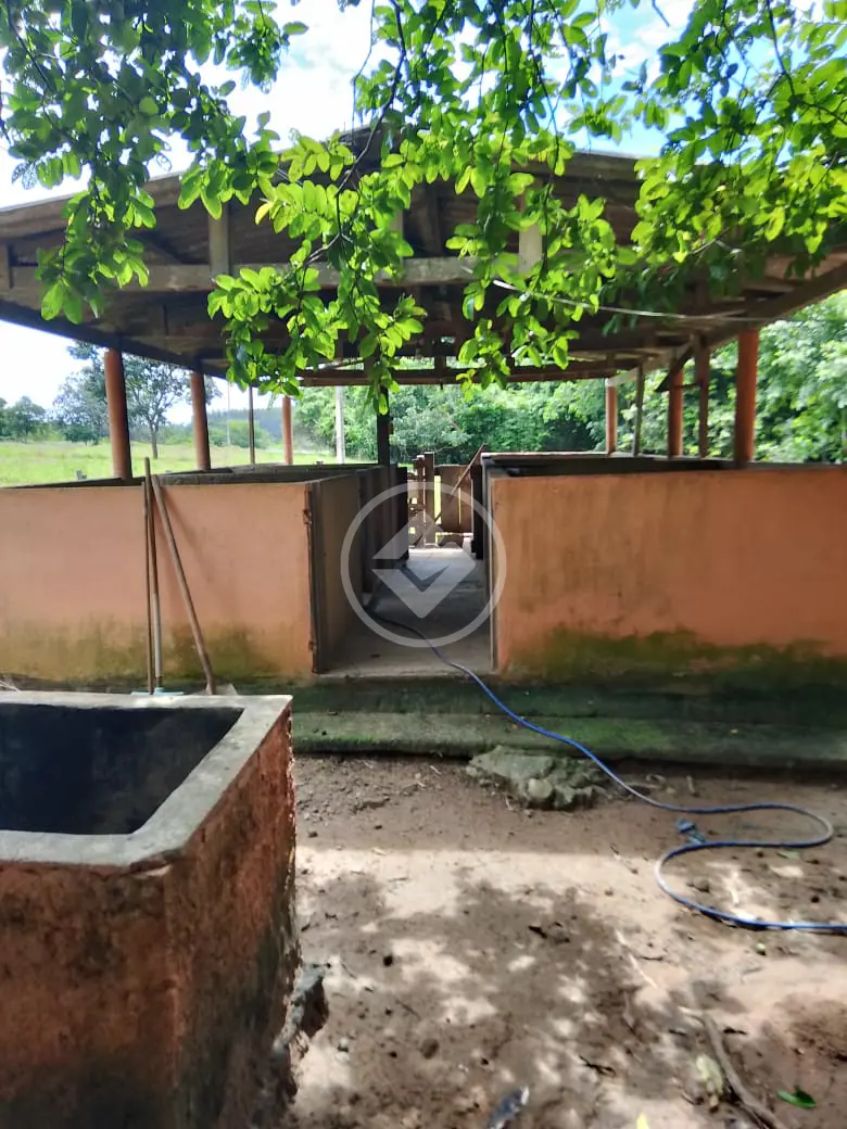 Imagem 5 - Galpão em Setor Santa Bárbara, Hidrolândia - GO