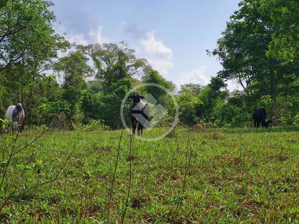 Chácara Chácara em Hidrolândia, Hidrolândia - GO — foto 2