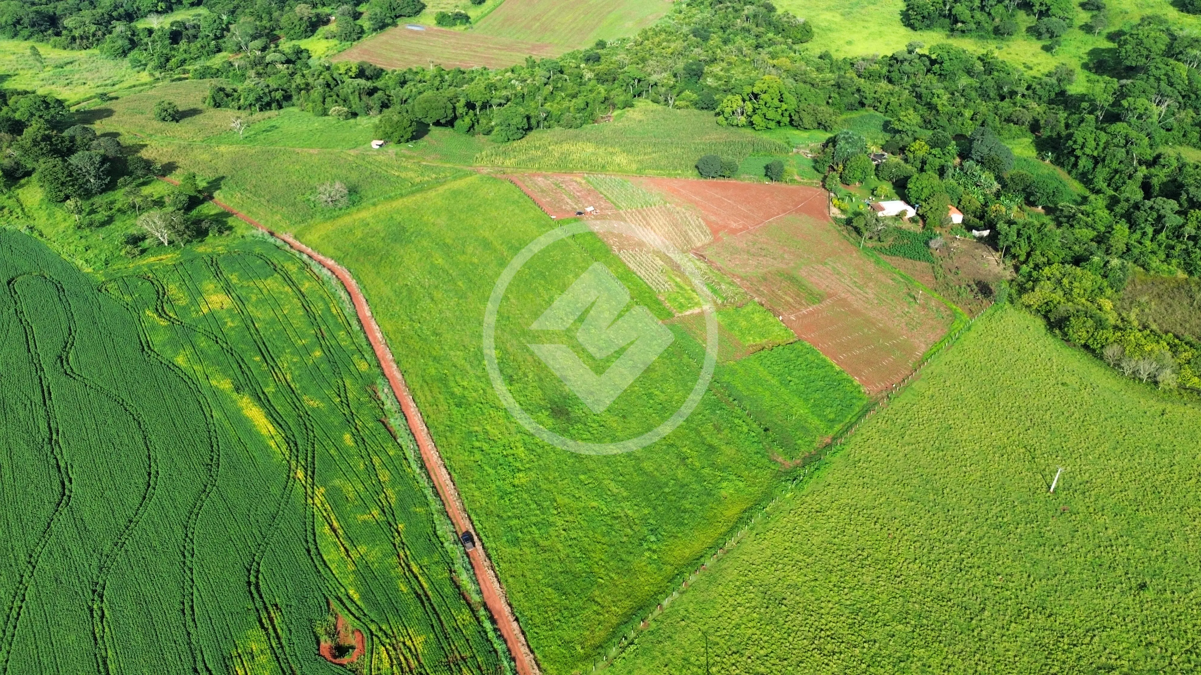 Imagem 4 - Fazenda em Área Rural de Anápolis, Anápolis - GO
