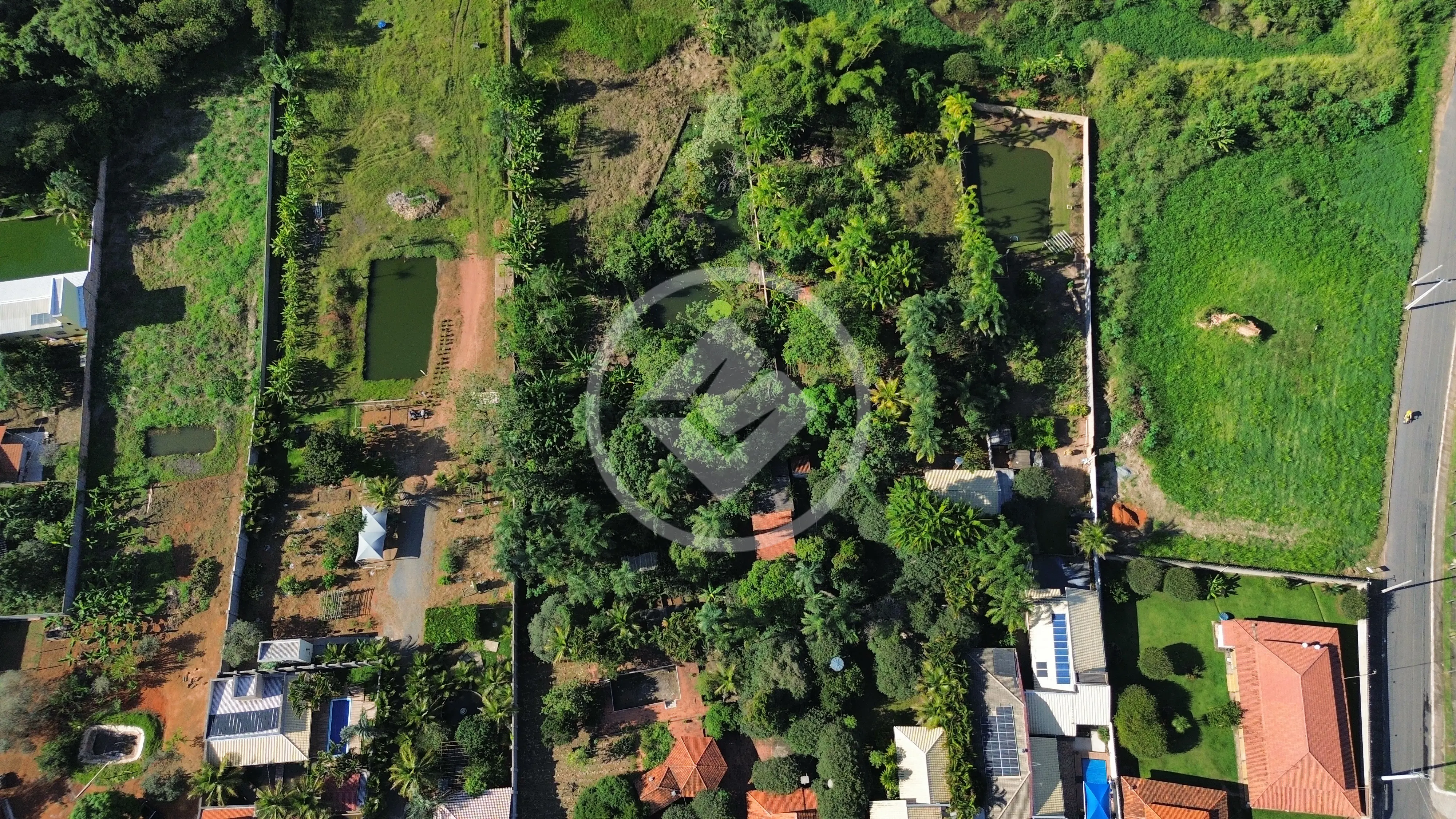 Imagem 2 - Chácara em Vila Grimpas, Hidrolândia - GO