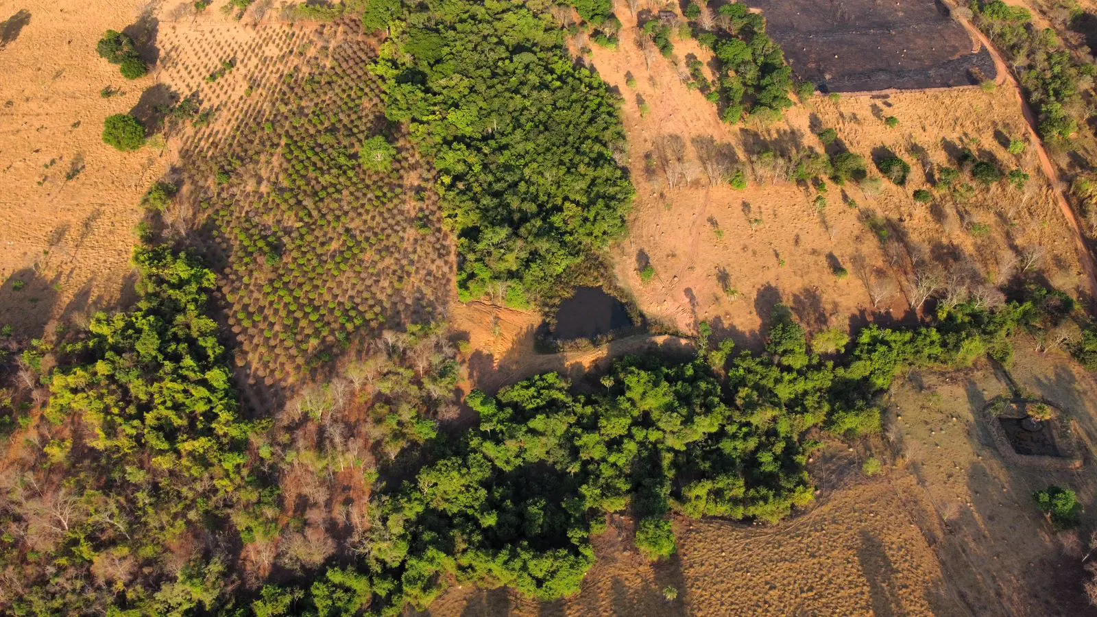 Imagem 2 - Fazenda em Zona Rural, Hidrolândia - GO