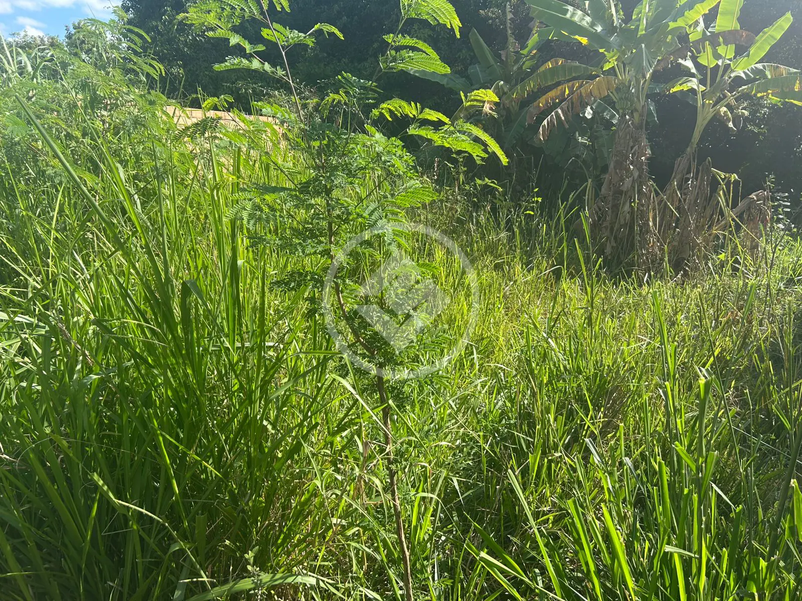 Imagem 2 - Terreno em Setor Santa Bárbara, Hidrolândia - GO