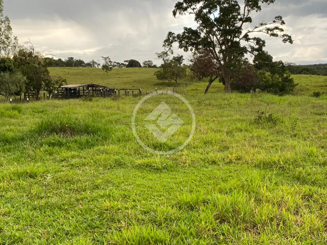 Imagem 5 - Fazenda em Chácara em Hidrolândia, Hidrolândia - GO