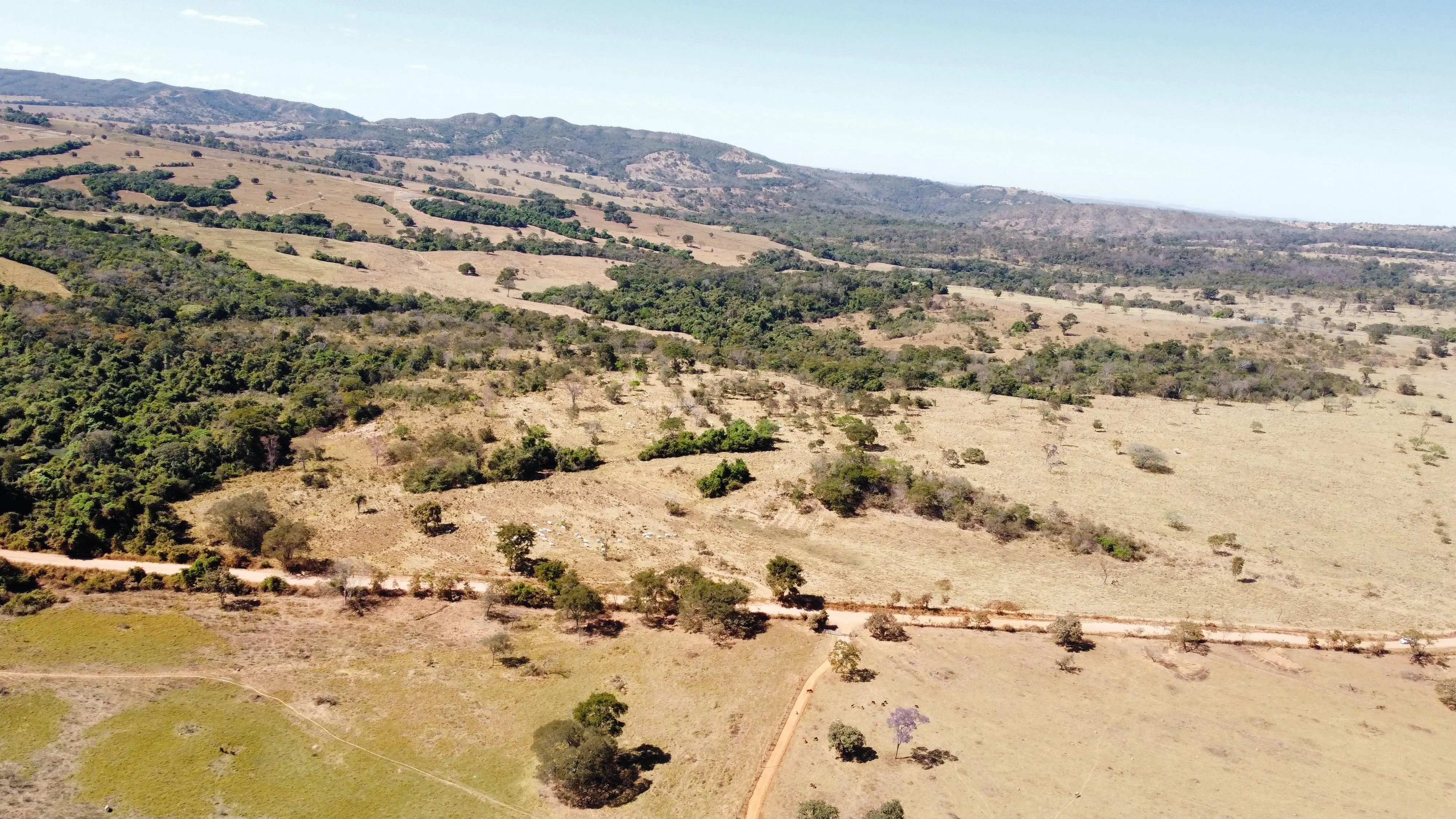 Imagem 4 - Fazenda em Zona Rural, Hidrolândia - GO