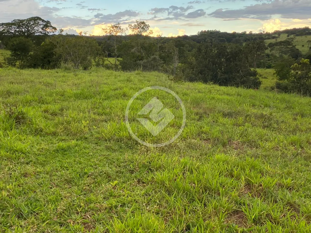 Imagem 2 - Fazenda em Chácara em Hidrolândia, Hidrolândia - GO