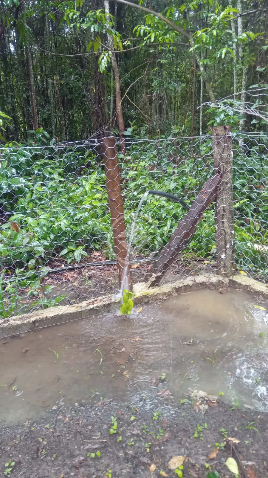 Imagem 6 - Fazenda em Chácara em Hidrolândia, Hidrolândia - GO