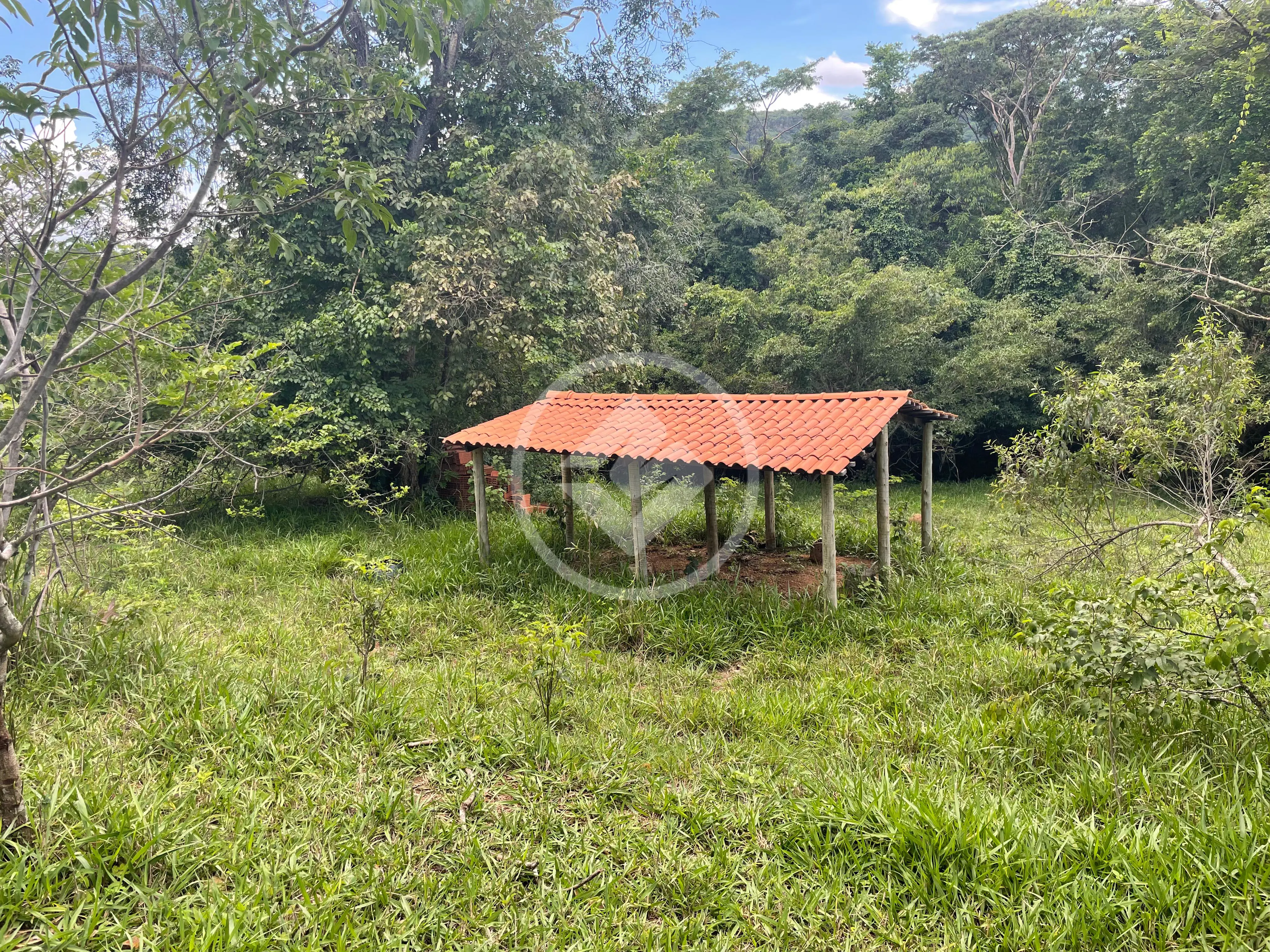 Imagem 6 - Chácara em Aréa Rural Aragoiânia, Aragoiânia - GO