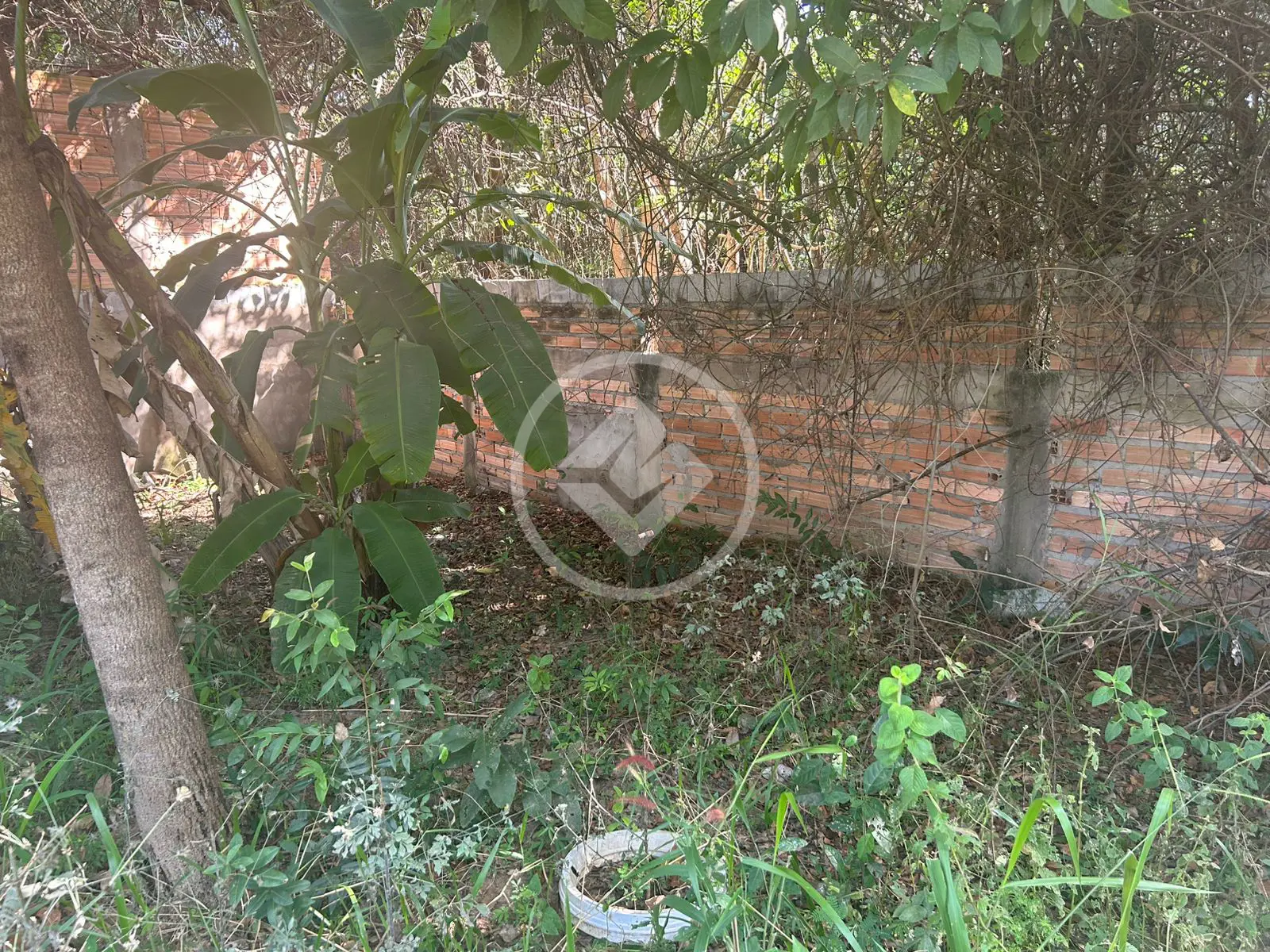 Imagem 5 - Terreno em Setor Santa Bárbara, Hidrolândia - GO