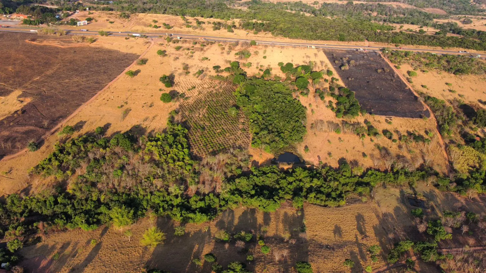 Image 12 - Fazenda em Zona Rural, Hidrolândia - GO