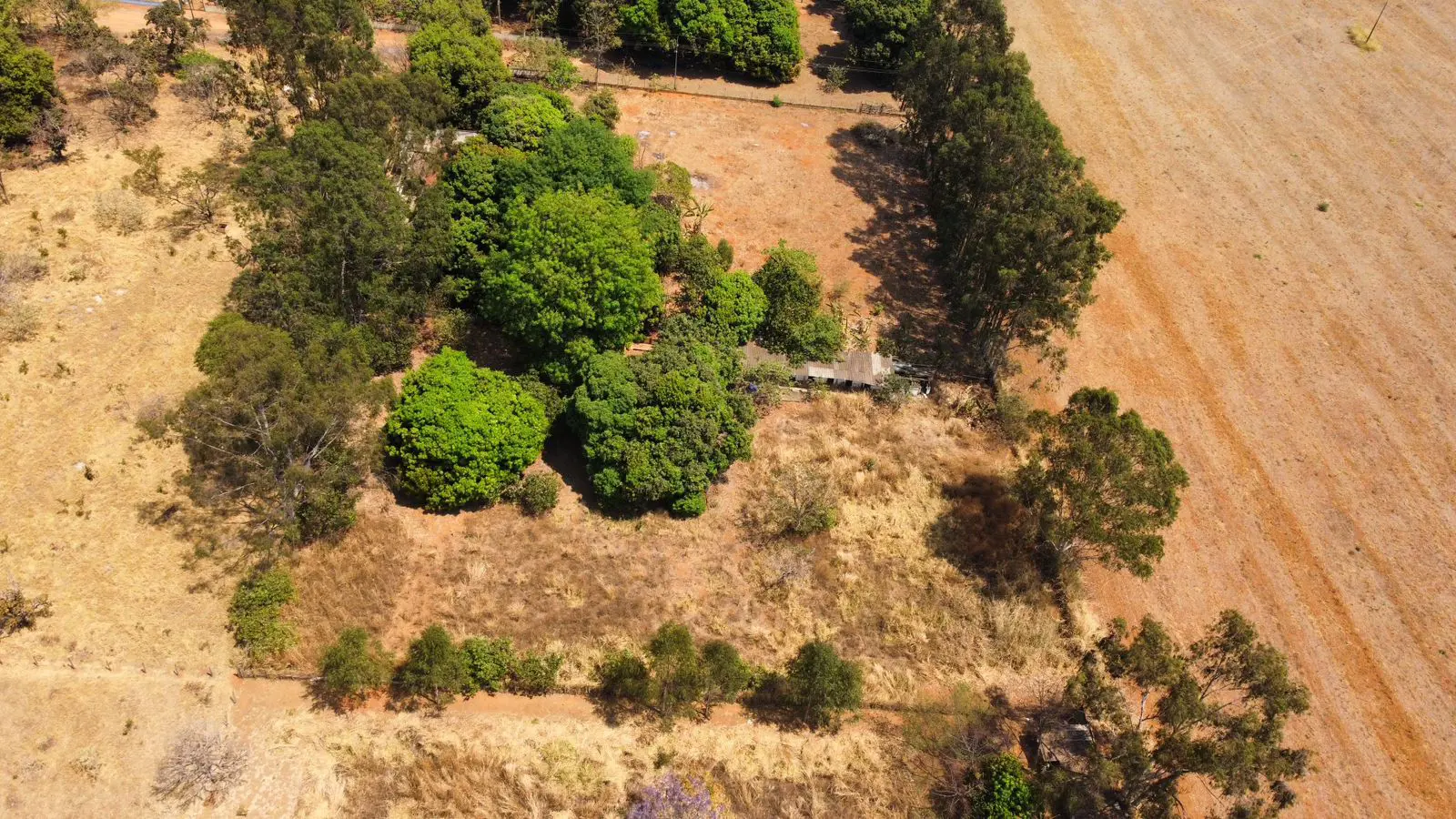 Imagem 3 - Chácara em Aréa Rural Aragoiânia, Aragoiânia - GO