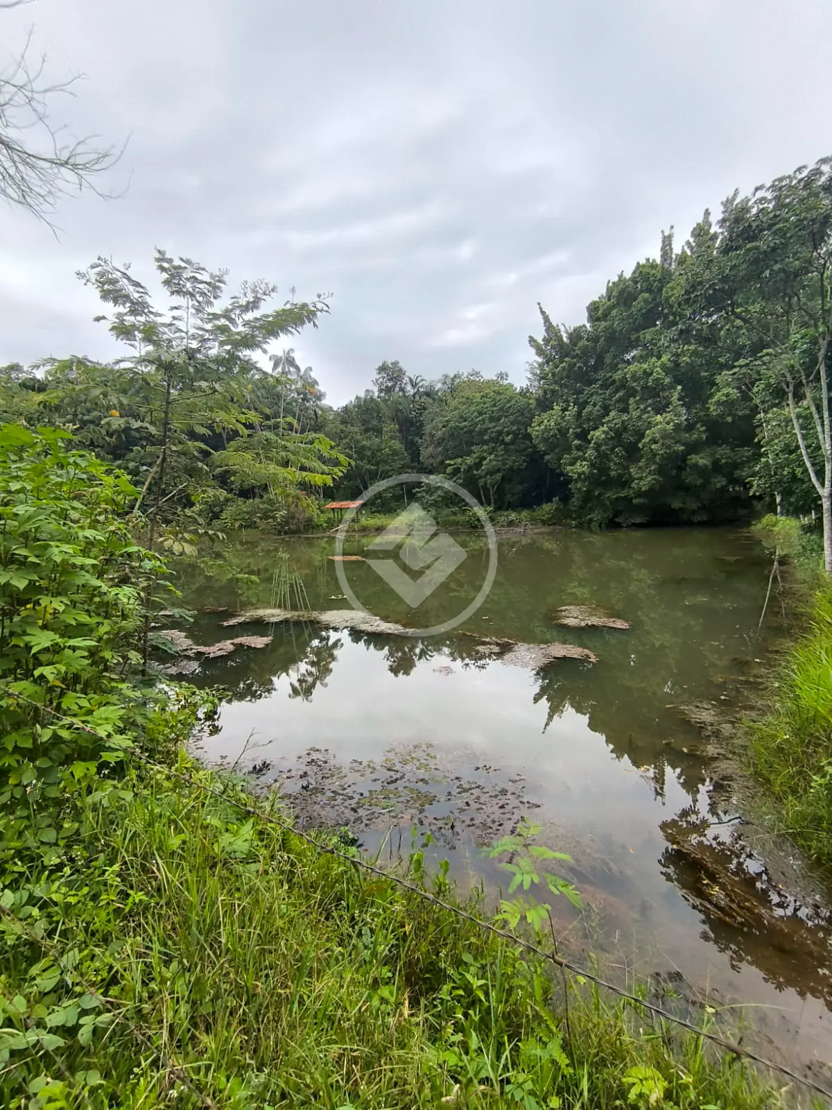 Imagem 4 - Chácara em Triângulo 03, Hidrolândia - GO