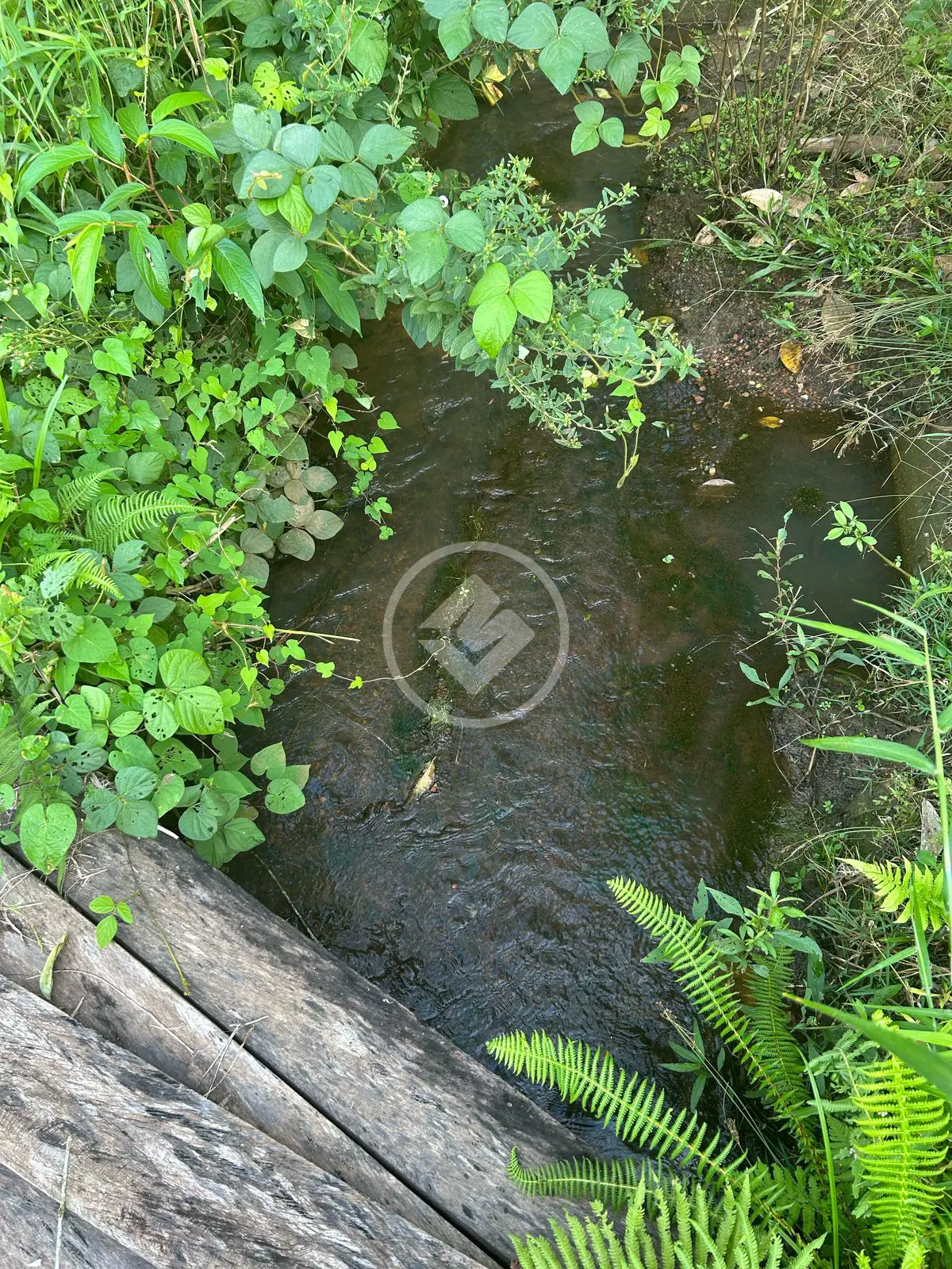 Imagem 2 - Chácara em Zona Rural Hidrolandia, Hidrolândia - GO