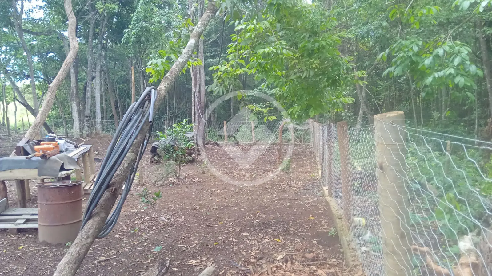 Imagem 4 - Fazenda em Chácara em Hidrolândia, Hidrolândia - GO