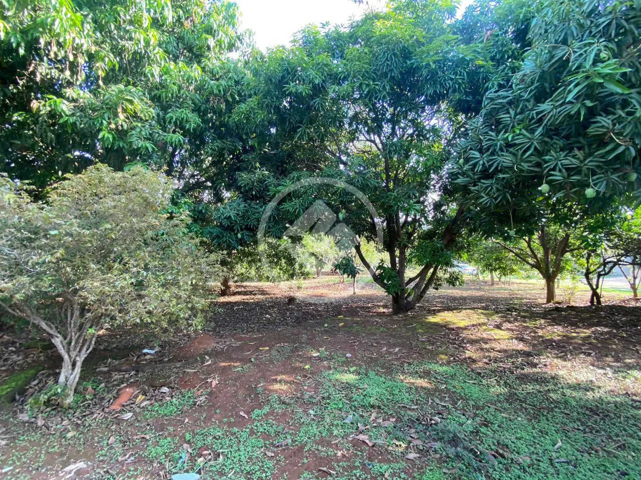 Imagem 2 - Terreno Condomínio em Condomínio Cidade das Águas, Hidrolândia - GO