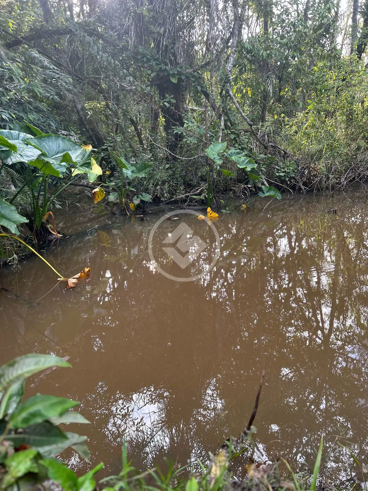 Chácara Zona Rural Hidrolandia, Hidrolândia - GO — foto 2