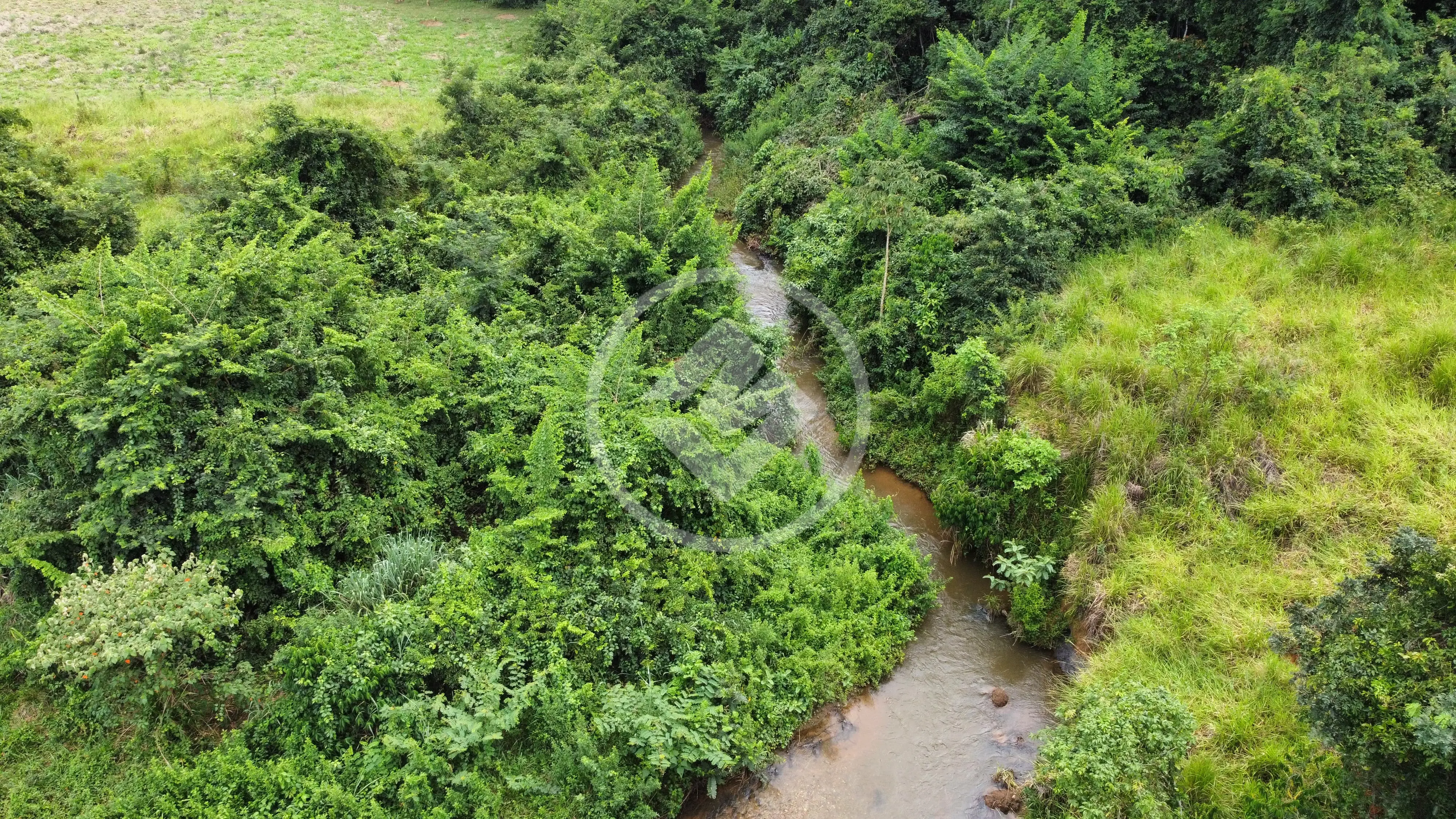 Imagem 3 - Chácara em Chácara em Hidrolândia, Hidrolândia - GO