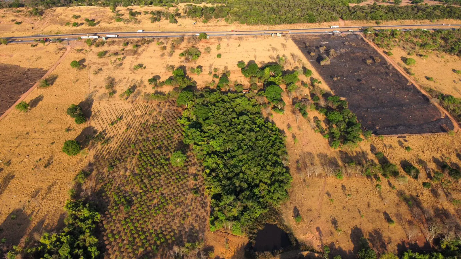 Imagem 5 - Fazenda em Zona Rural, Hidrolândia - GO