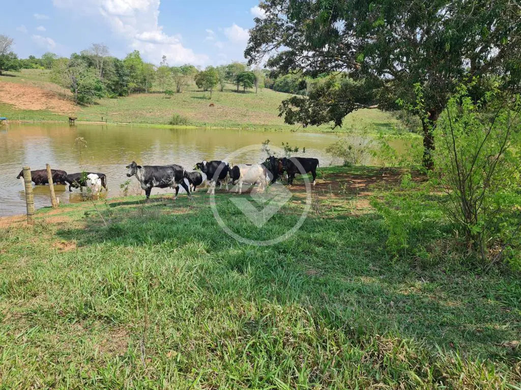 Imagem 3 - Chácara em Chácara em Hidrolândia, Hidrolândia - GO