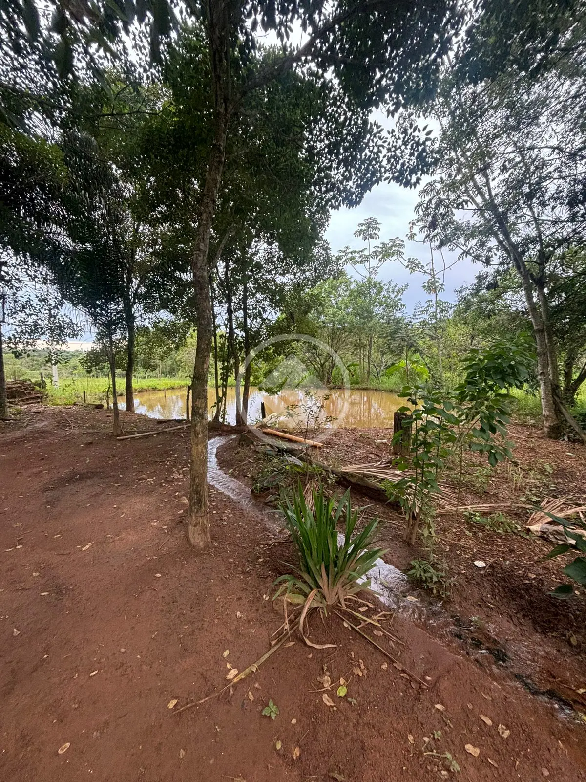 Imagem 2 - Chácara em Triângulo 03, Hidrolândia - GO