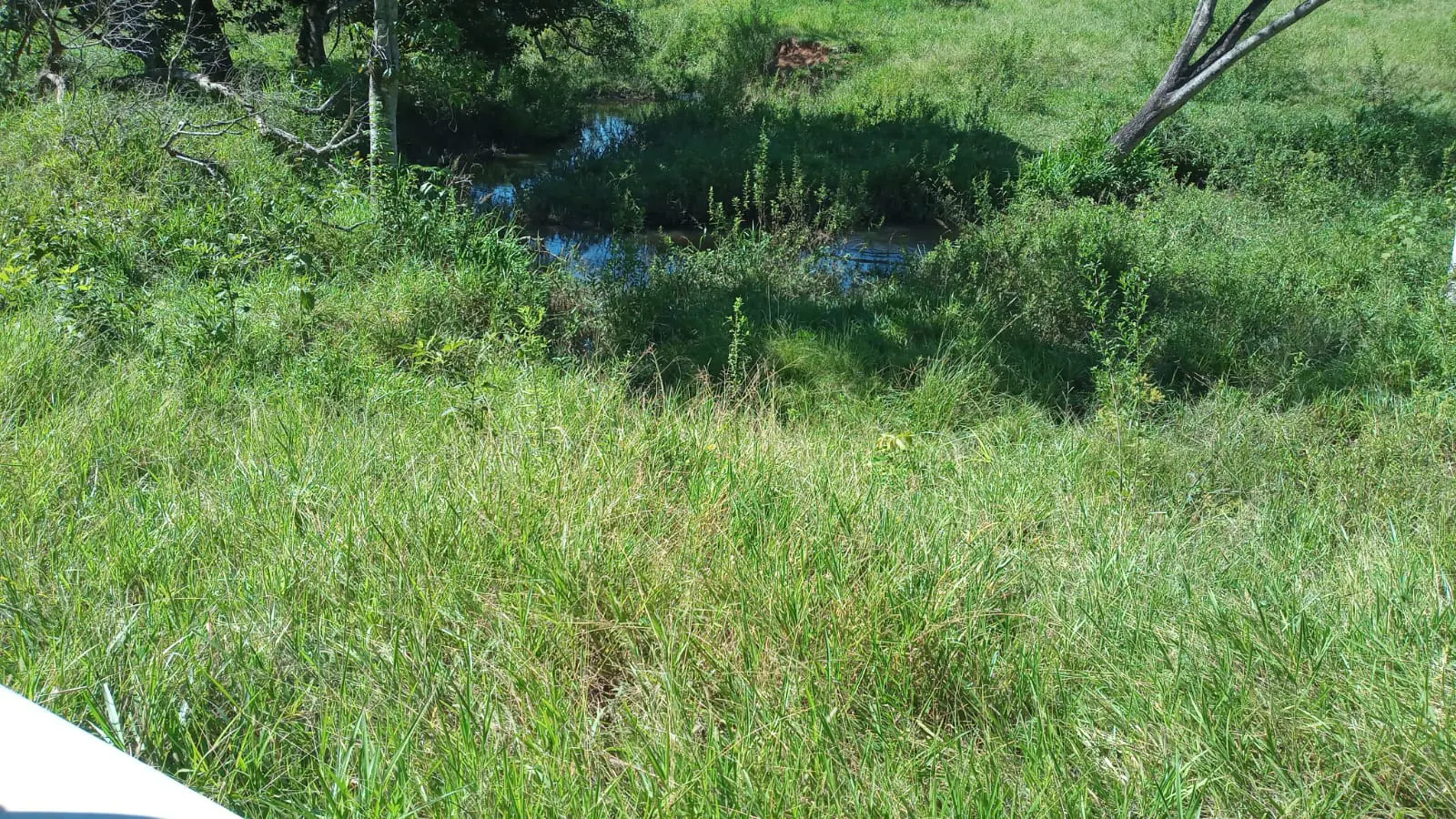 Imagem 3 - Fazenda em Zona Rural, Hidrolândia - GO