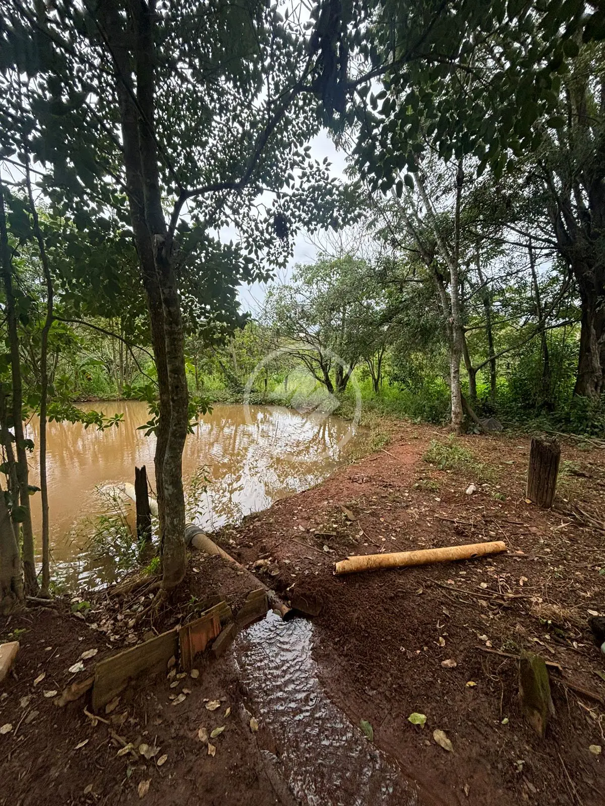 Imagem 4 - Chácara em Triângulo 03, Hidrolândia - GO