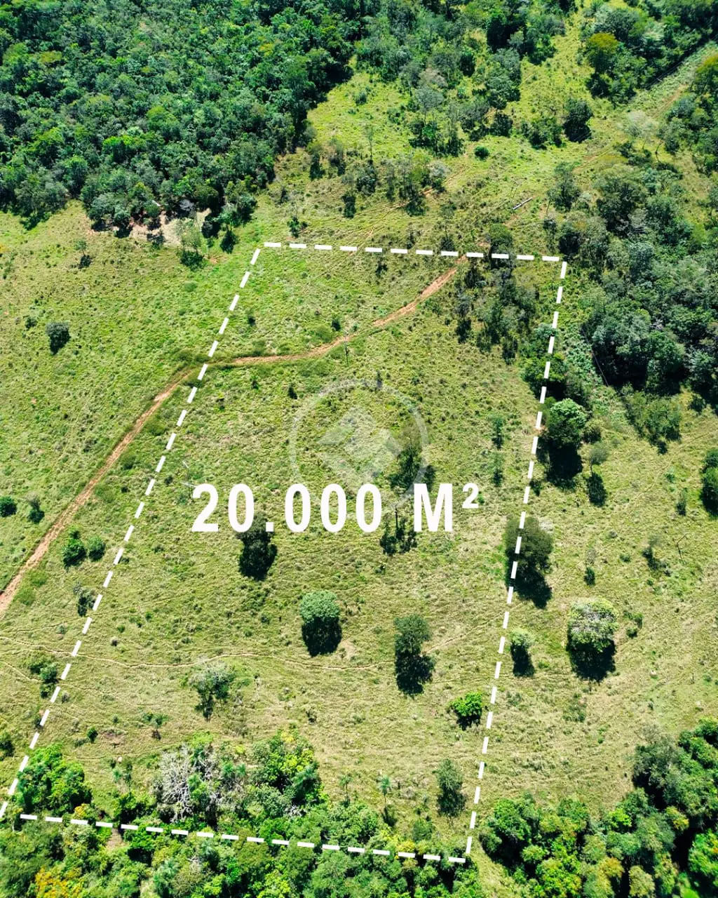 Imagem 6 - Chácara em Zona Rural Hidrolandia, Hidrolândia - GO
