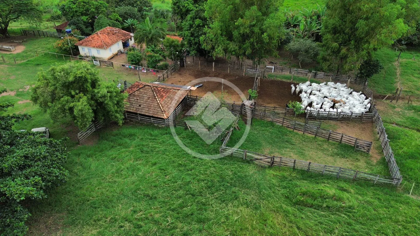 Imagem 3 - Fazenda em Zona Rural, Caldazinha - GO