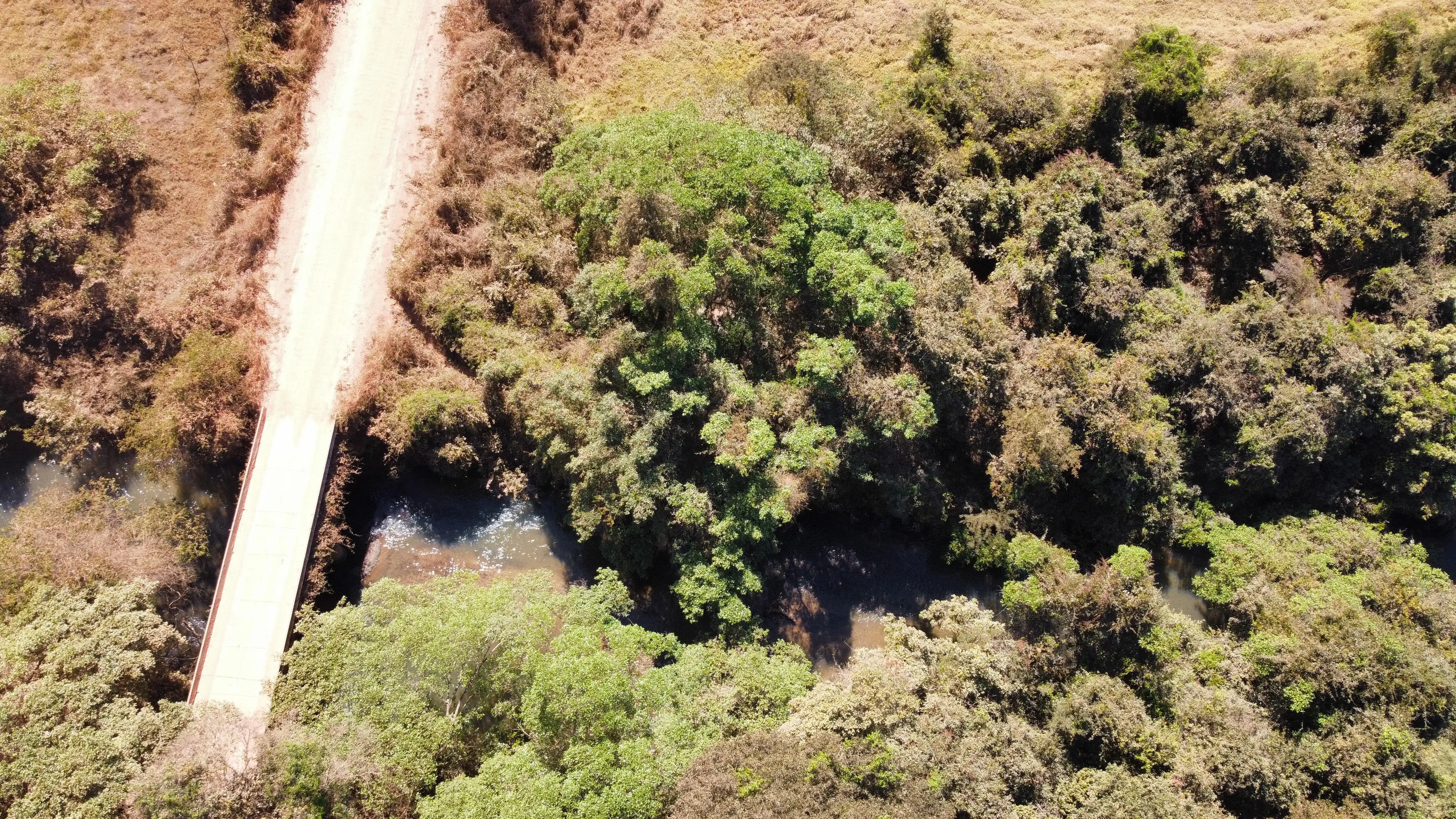 Imagem 5 - Fazenda em Zona Rural, Hidrolândia - GO