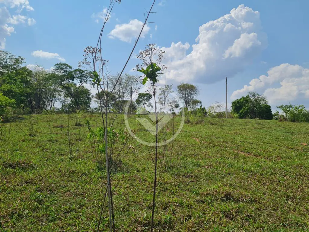 Imagem 2 - Chácara em Chácara em Hidrolândia, Hidrolândia - GO