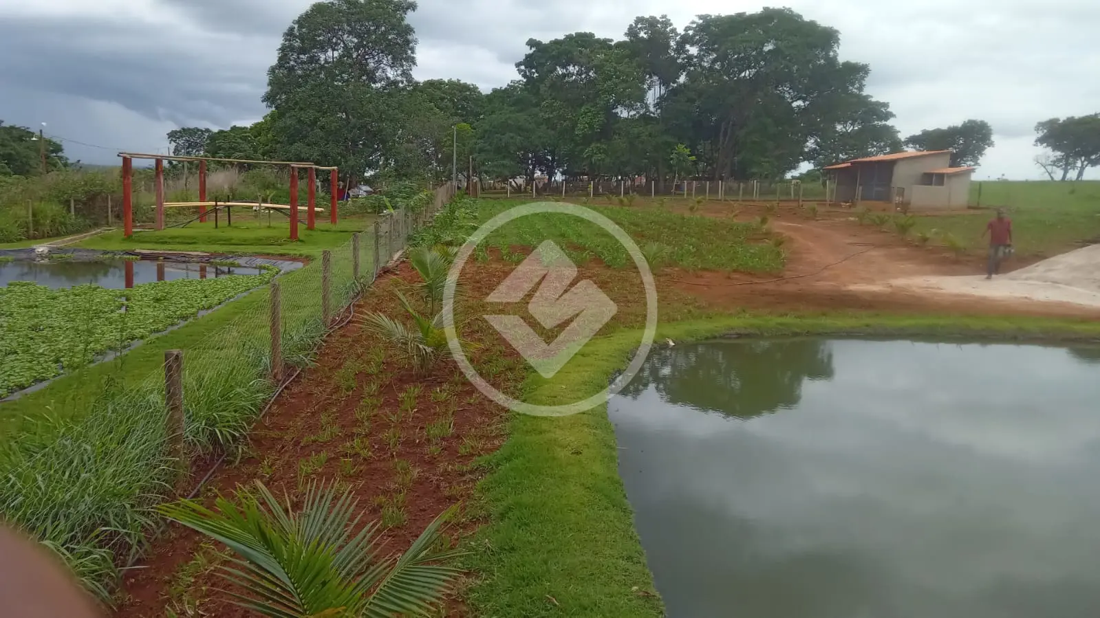 Imagem 3 - Fazenda em Chácara em Hidrolândia, Hidrolândia - GO