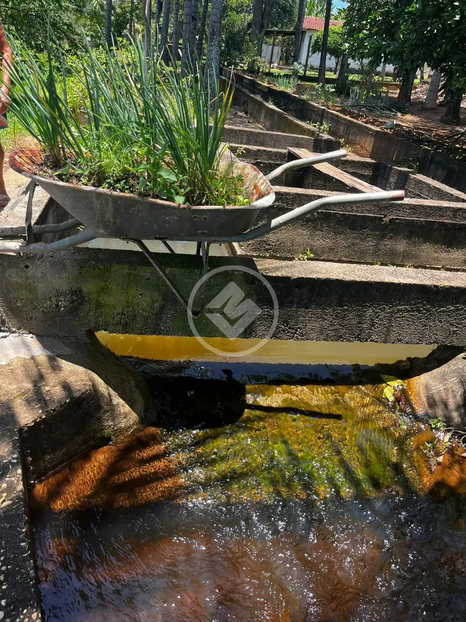 Imagem 6 - Chácara em Zona Rural Hidrolandia, Hidrolândia - GO