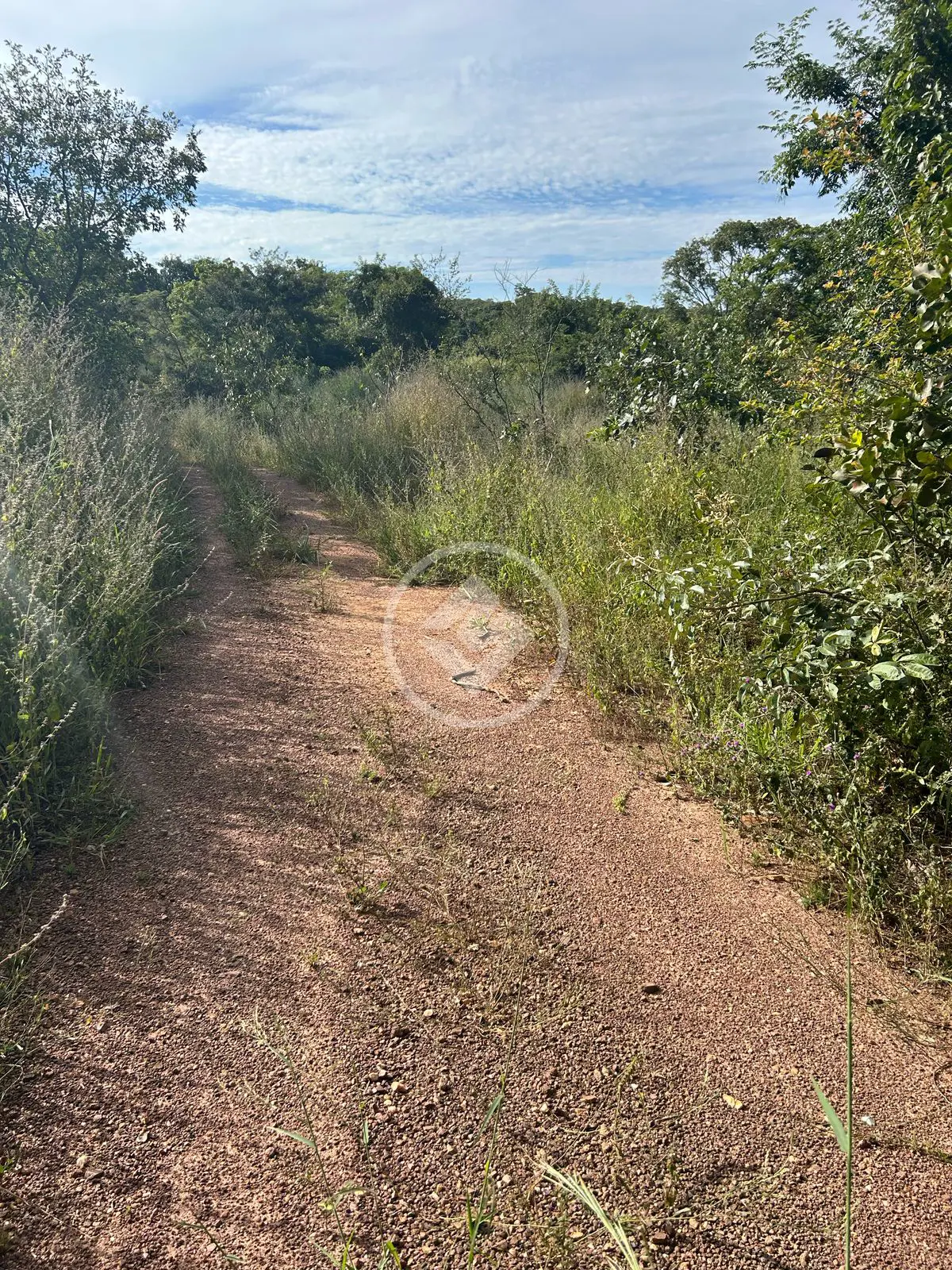 Imagem 3 - Chácara em Zona Rural Hidrolandia, Hidrolândia - GO