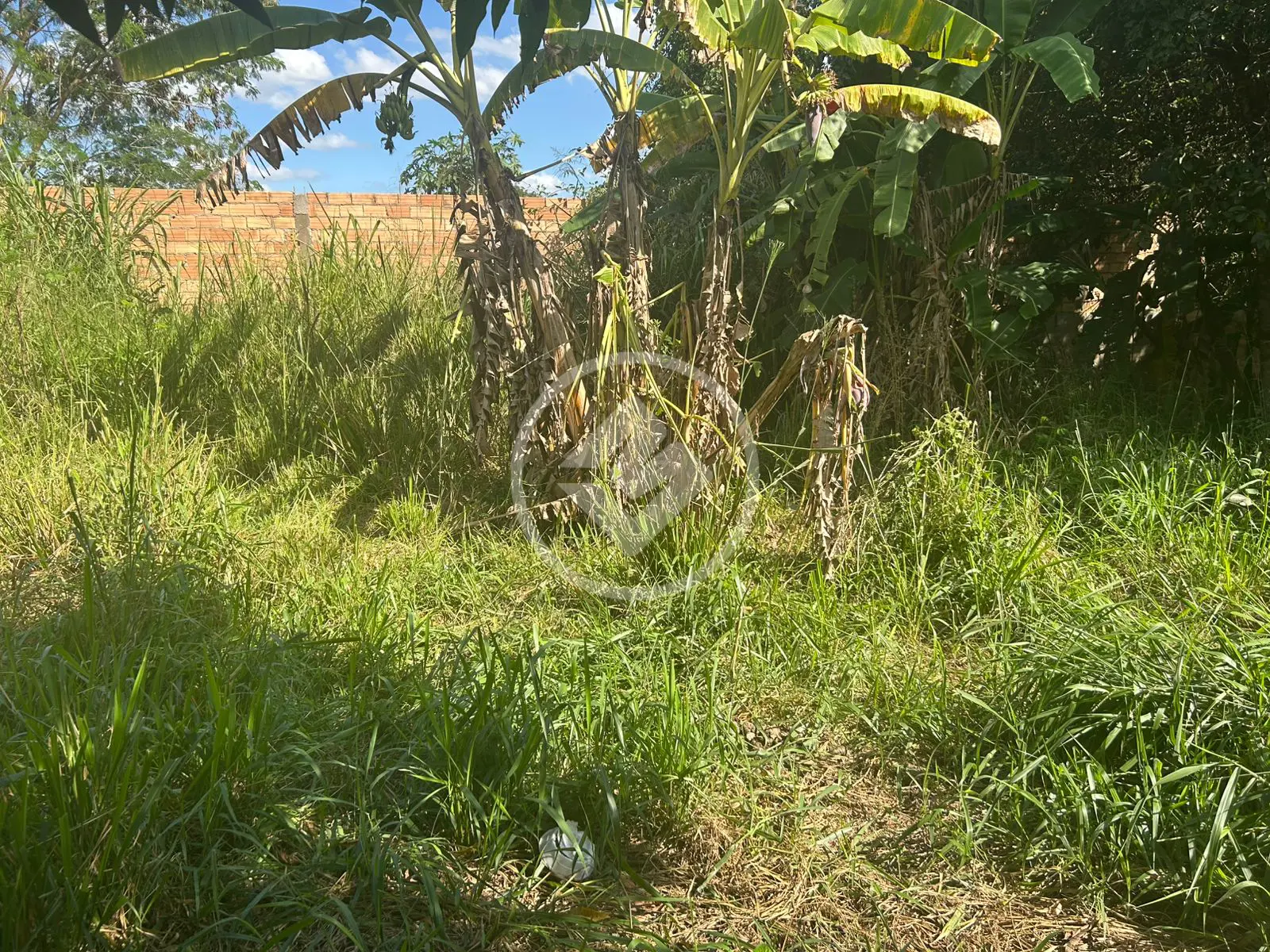 Imagem 4 - Terreno em Setor Santa Bárbara, Hidrolândia - GO