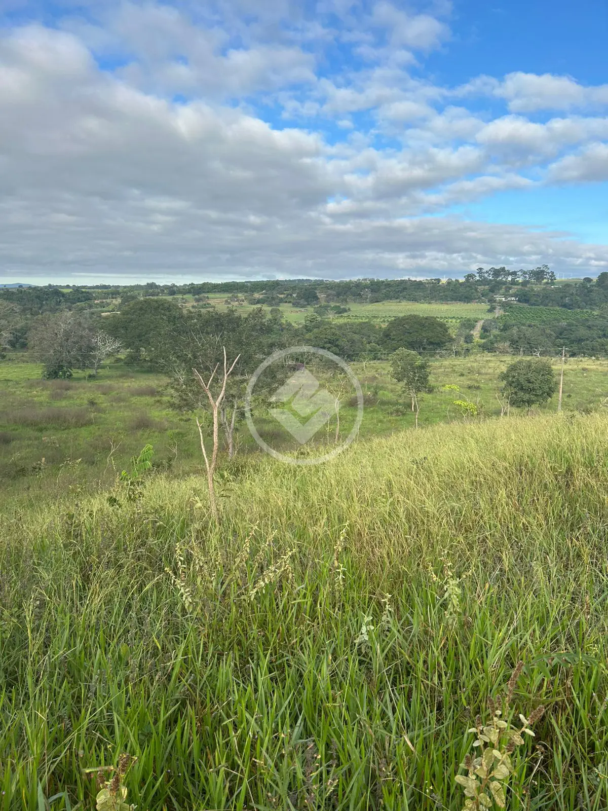 Chácara Zona Rural Hidrolandia, Hidrolândia - GO — foto 2