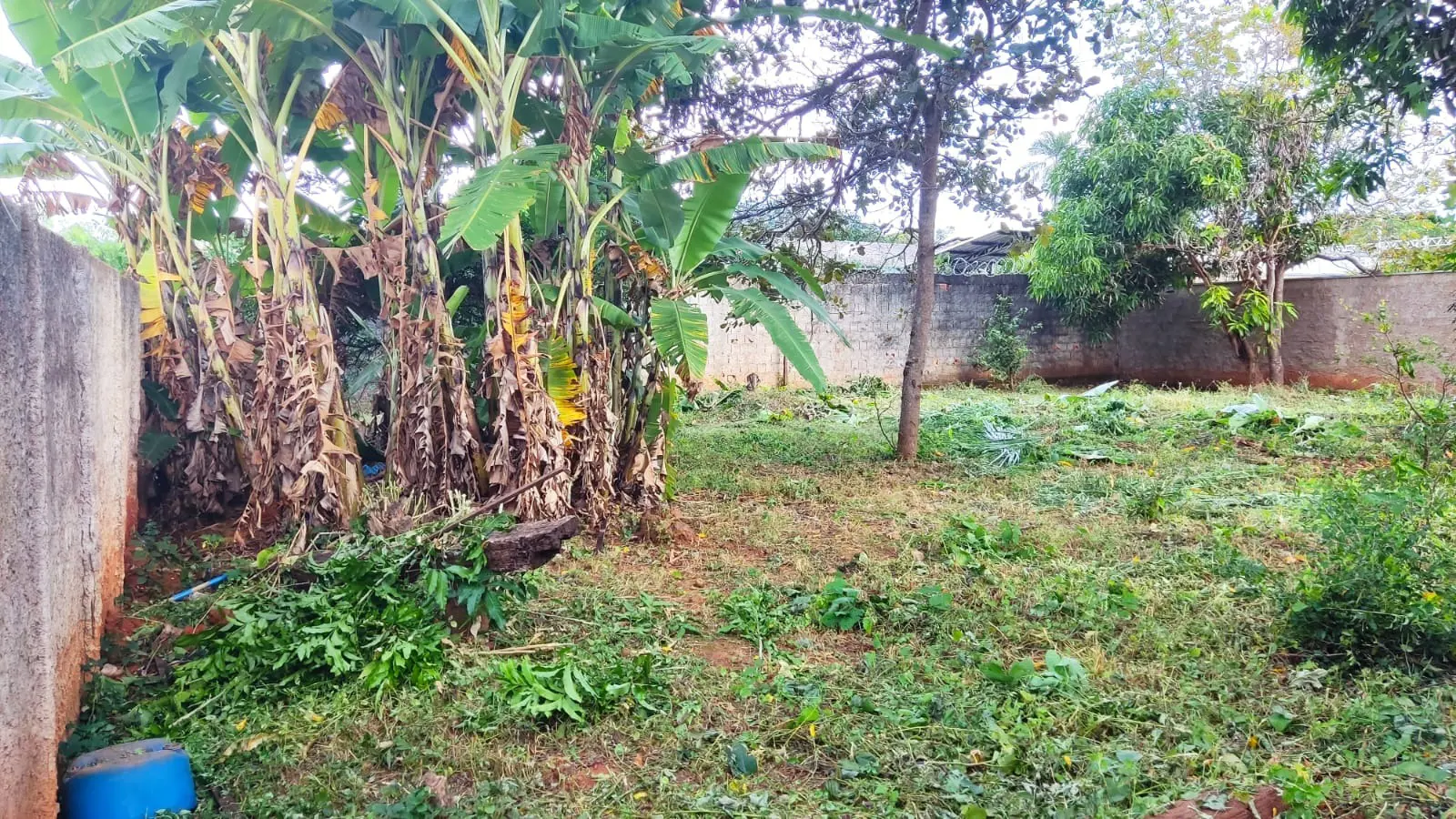 Imagem 4 - Terreno em Centro Hidrolândia, Hidrolândia - GO